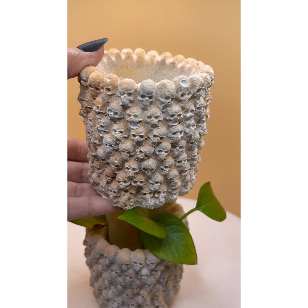 2 skulConcrete Planter – Handmade Cement Pot – Unique Textured– Handmade – - Picture 6 of 6